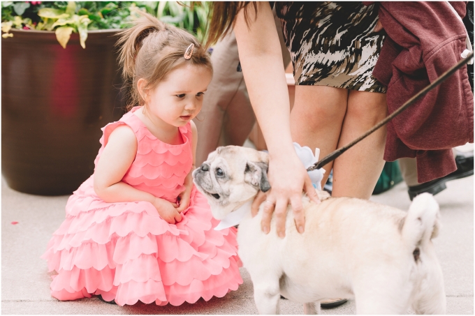 Little girl playing with puppy at wedding