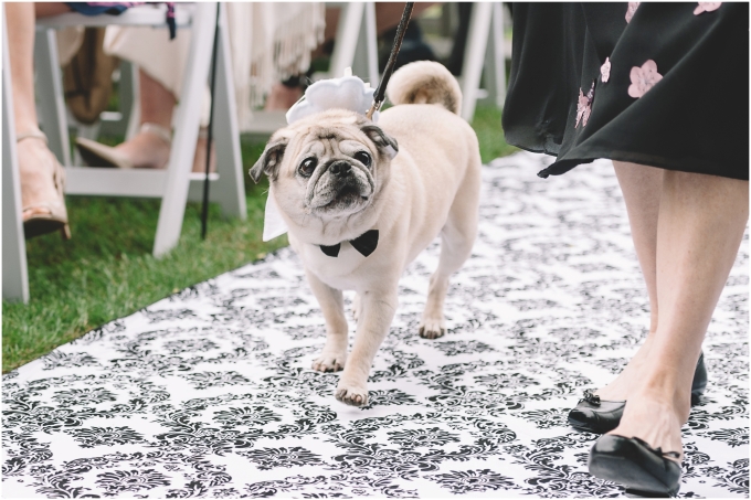 Ring bearer puppy coming down the aisle at Ceremony at French Creek Manor in Snohomish, WA